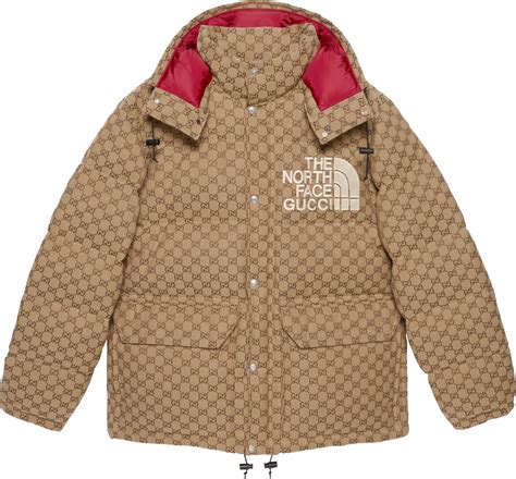 gucci puffer north face